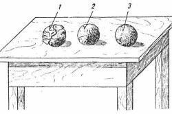 Определение жирности глины по высушенному шарику